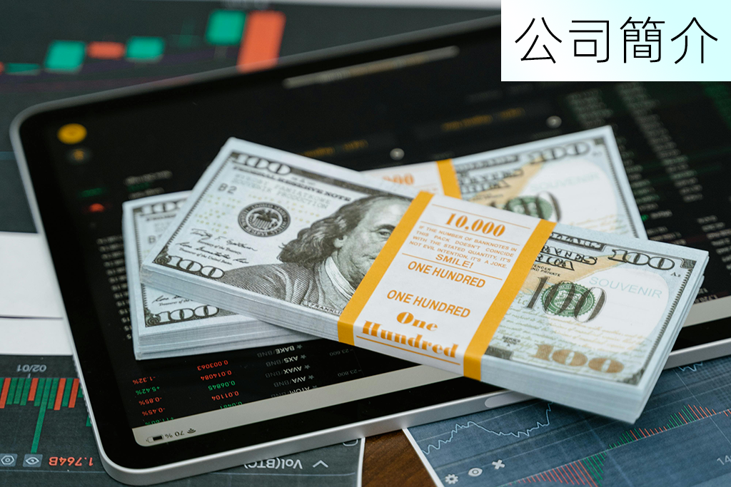 公司簡介